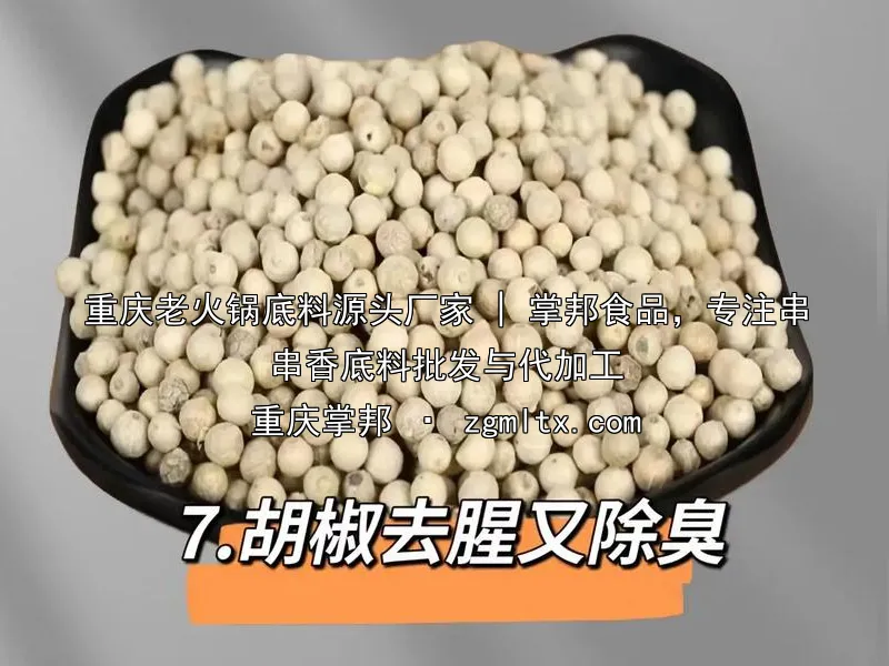 重庆老火锅底料源头厂家 | 掌邦食品，专注串串香底料批发与代加工