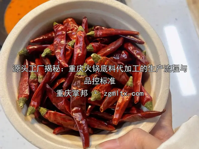 源头工厂揭秘：重庆火锅底料代加工的生产流程与品控标准