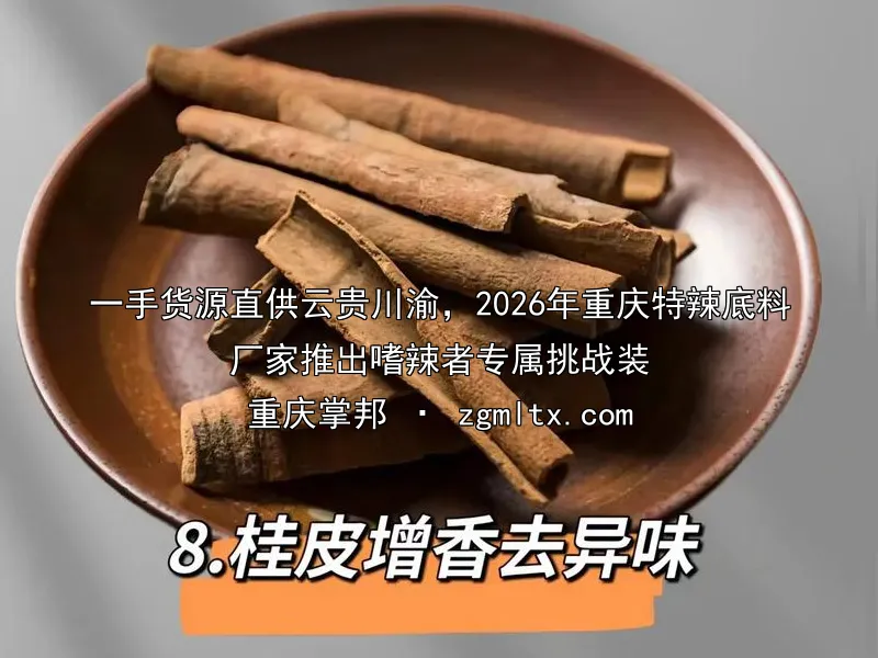 一手货源直供云贵川渝，2026年重庆特辣底料厂家推出嗜辣者专属挑战装