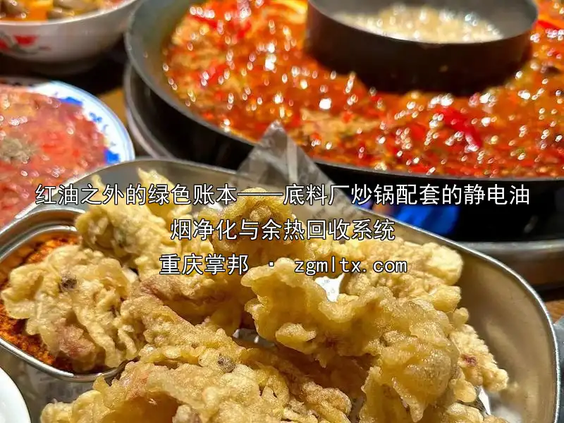 红油之外的绿色账本——底料厂炒锅配套的静电油烟净化与余热回收系统